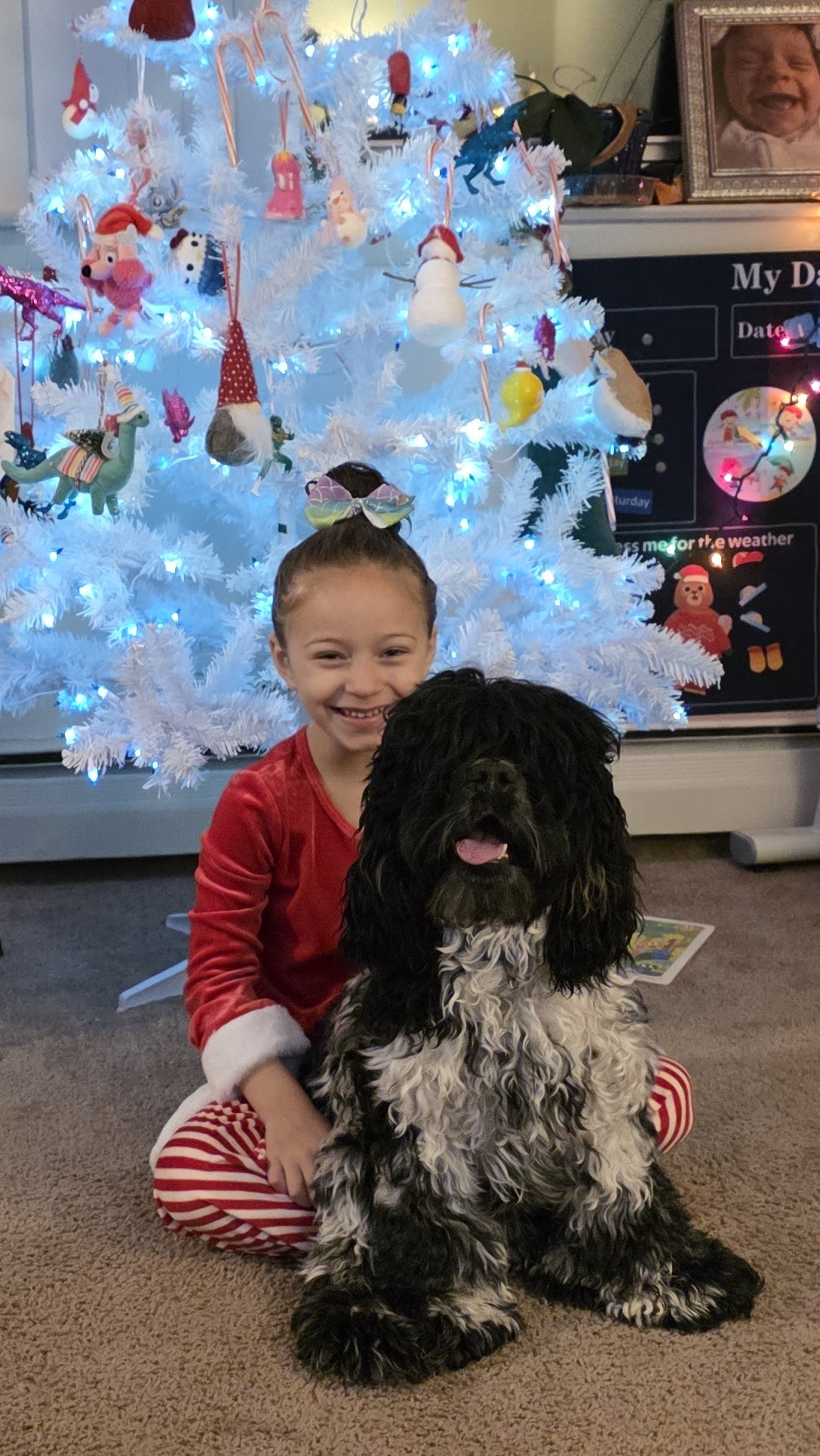 My Daughter and Spots (desperately needing a haircut) at Christmas